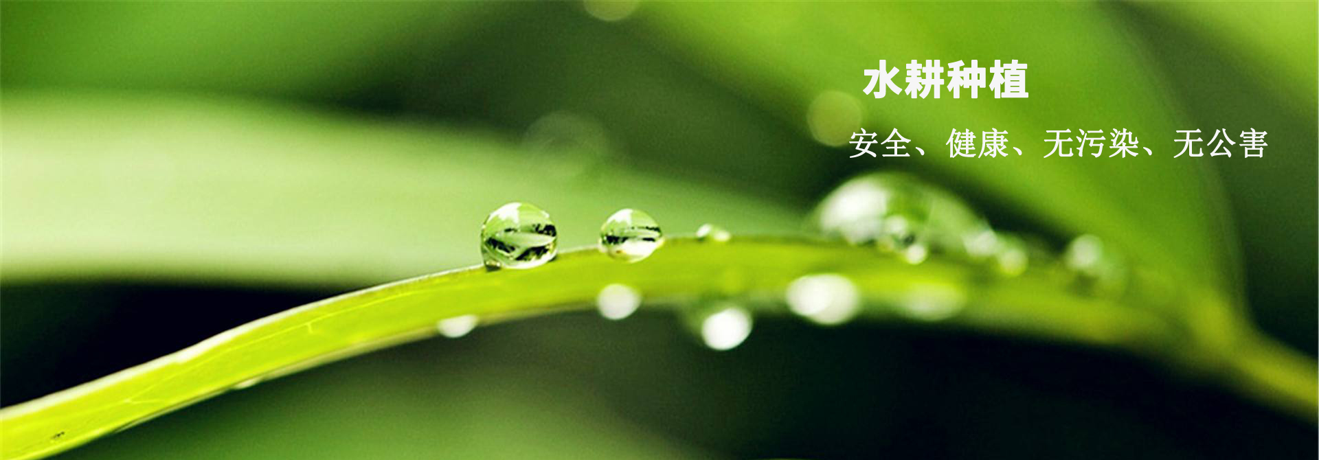 &#20061;&#28216;&#23448;&#26041;&#32593;&#39029;&#29256;&#45;&#20061;&#28216;&#40;&#20013;&#22269;&#41;